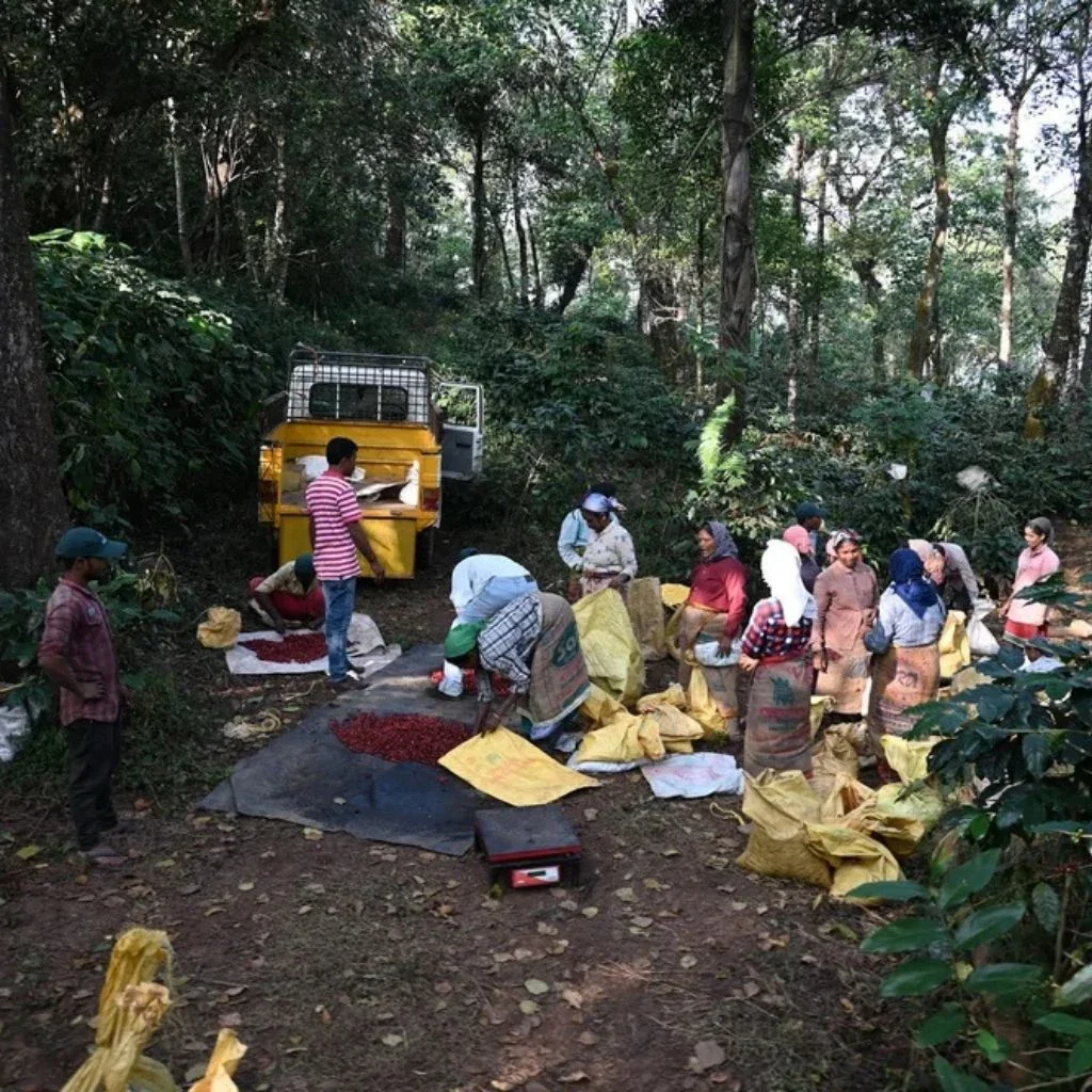 Produktbild 4